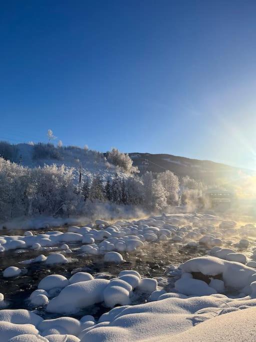 Delikat Hytte Omgitt Av Hallingdals Vakre Fjell Al Bagian luar foto