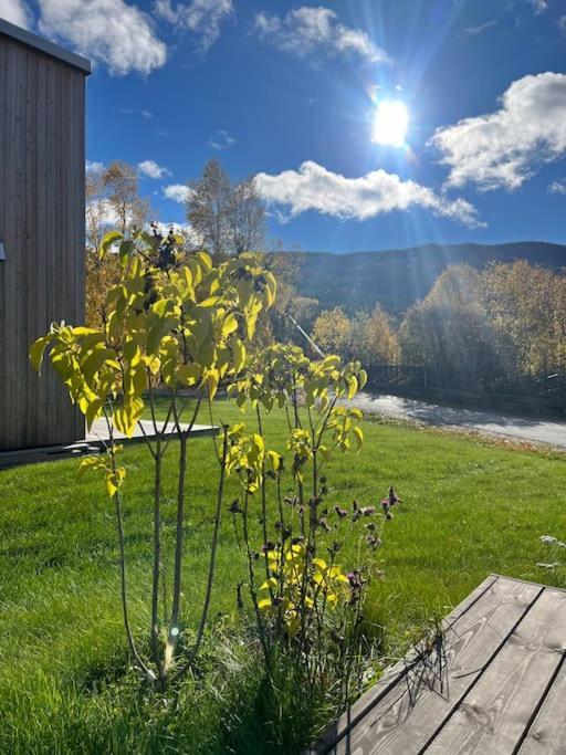 Delikat Hytte Omgitt Av Hallingdals Vakre Fjell Al Bagian luar foto