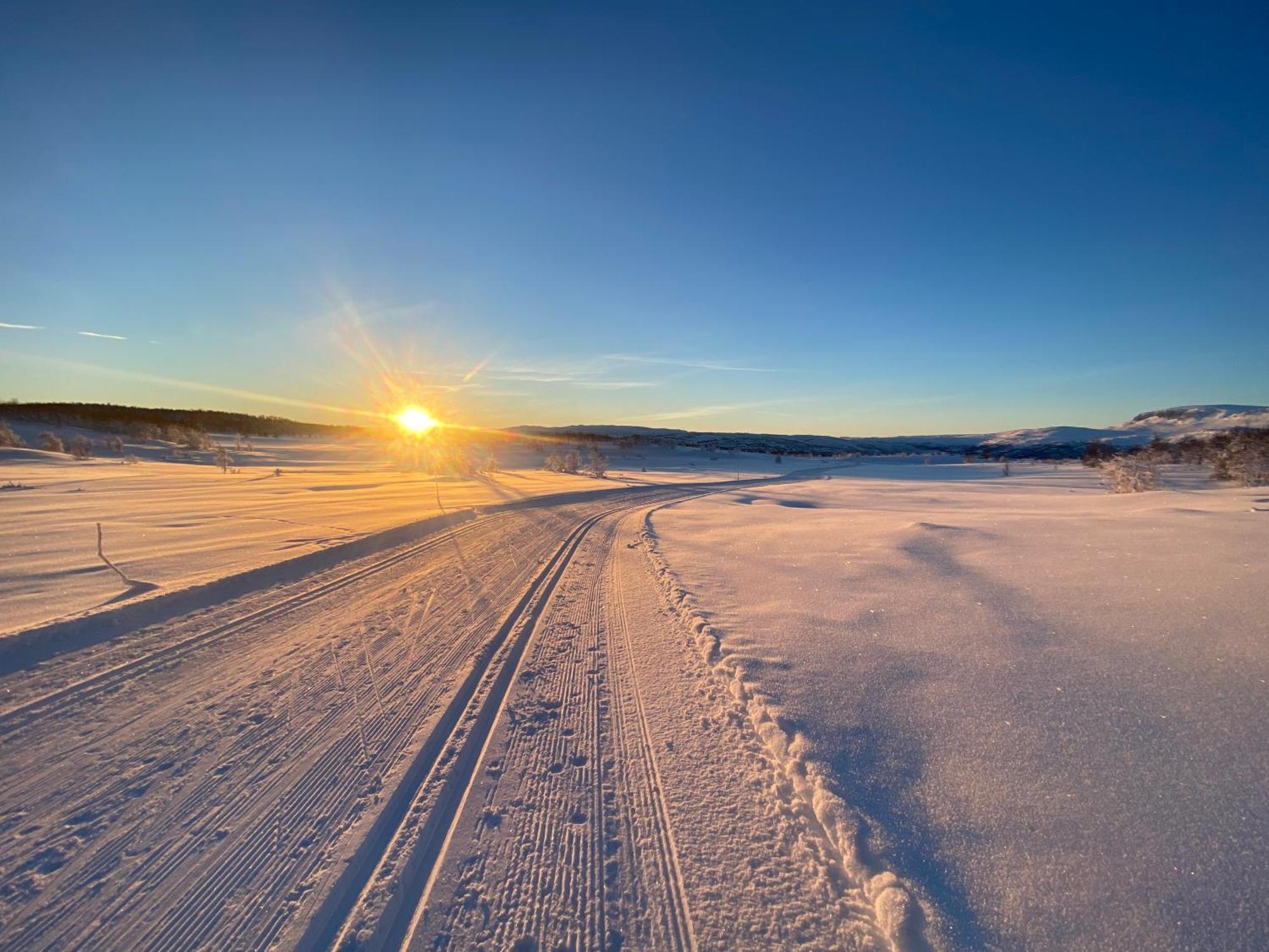 Delikat Hytte Omgitt Av Hallingdals Vakre Fjell Al Bagian luar foto